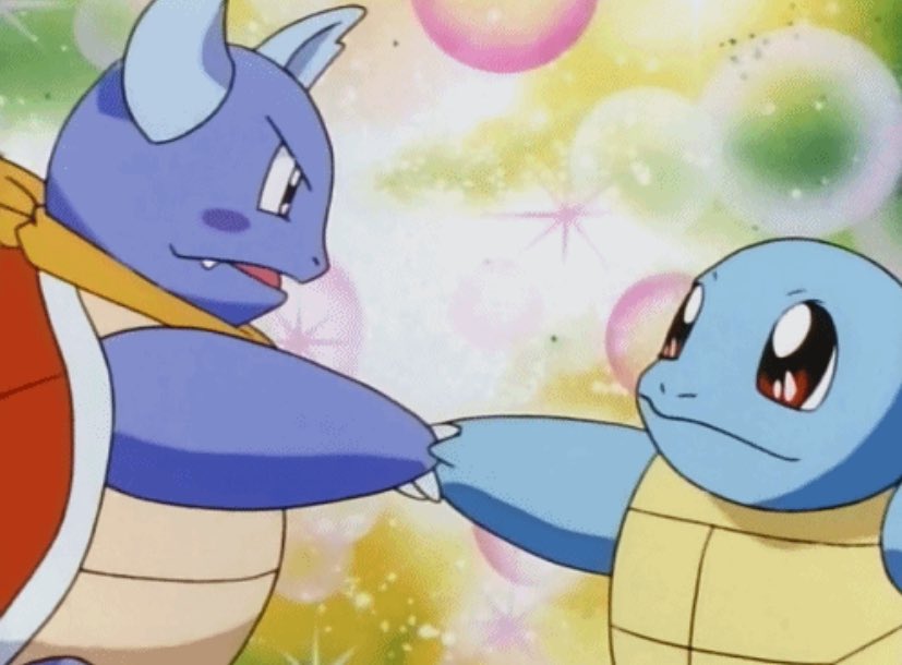 turtle handshake