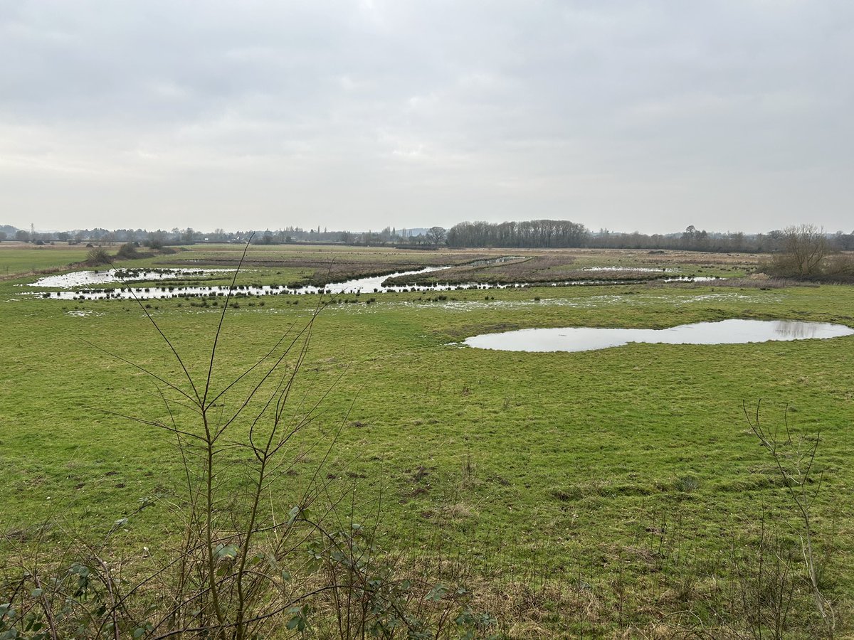 Sybil Ruscoe tweet media