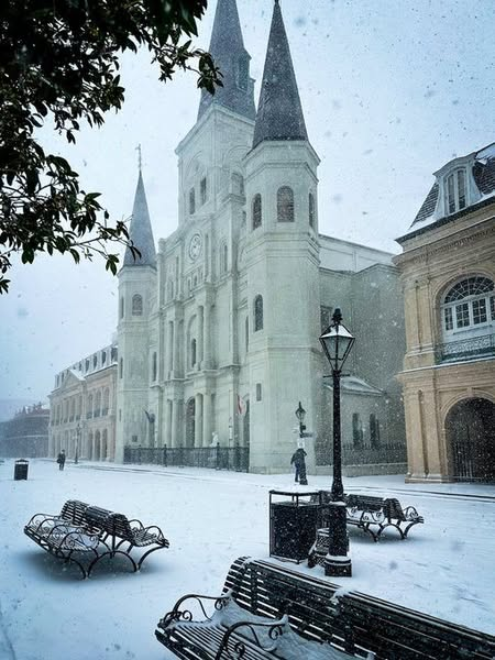 petermelancon's tweet photo. @MaxTsaparis @EarthCam St. Louis Cathedral, right now.  From a local weatherman. https://t.co/qOHgO0hdrR