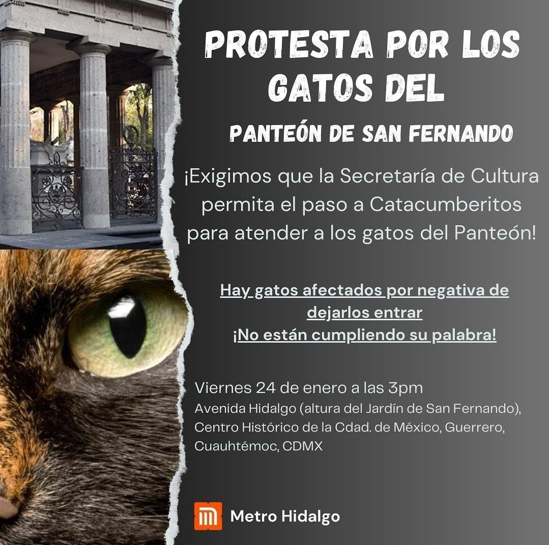 ClaryArte's tweet photo. @GobiernoMX @GobiernoMX @SEGOB_mx Dejen entrar a @catacumberitos al Panteón de Dan Fernando, legalmente ellos son los tutores de los gatos, ya que están registrados en la RUAC https://t.co/zhNkUdwrhT