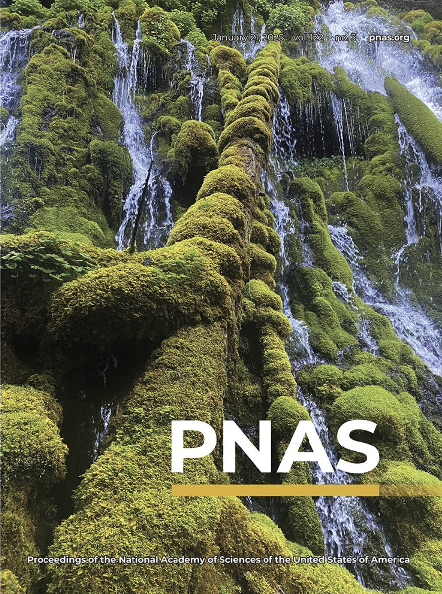 Volcano Listening Project tweet media