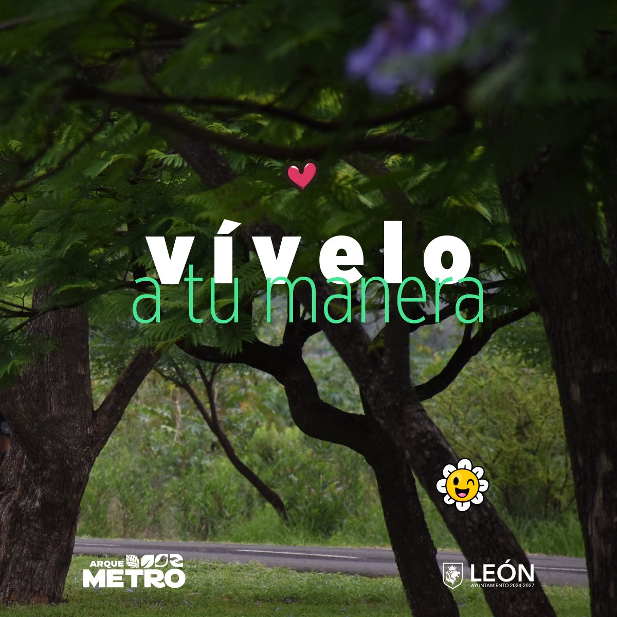 parkmetroleon's tweet photo. 🌿 ¡Vive el Parque Metropolitano a tu manera! 🎈 Recuerda que este espacio está aquí para ti, ya sea para ejercitarte, relajarte o simplemente disfrutar del aire libre. 💚 #ViveElMetro #ElParqueEsDeTodos https://t.co/znJzwhaRyC