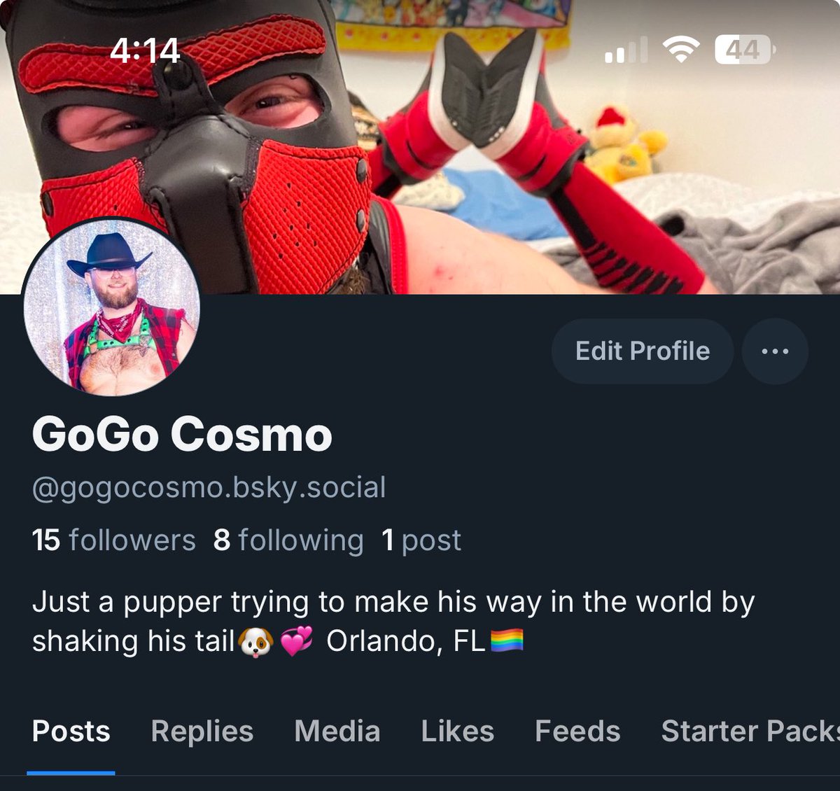 Cosmo the Go-Go (@gogo_cosmo) / Posts / X