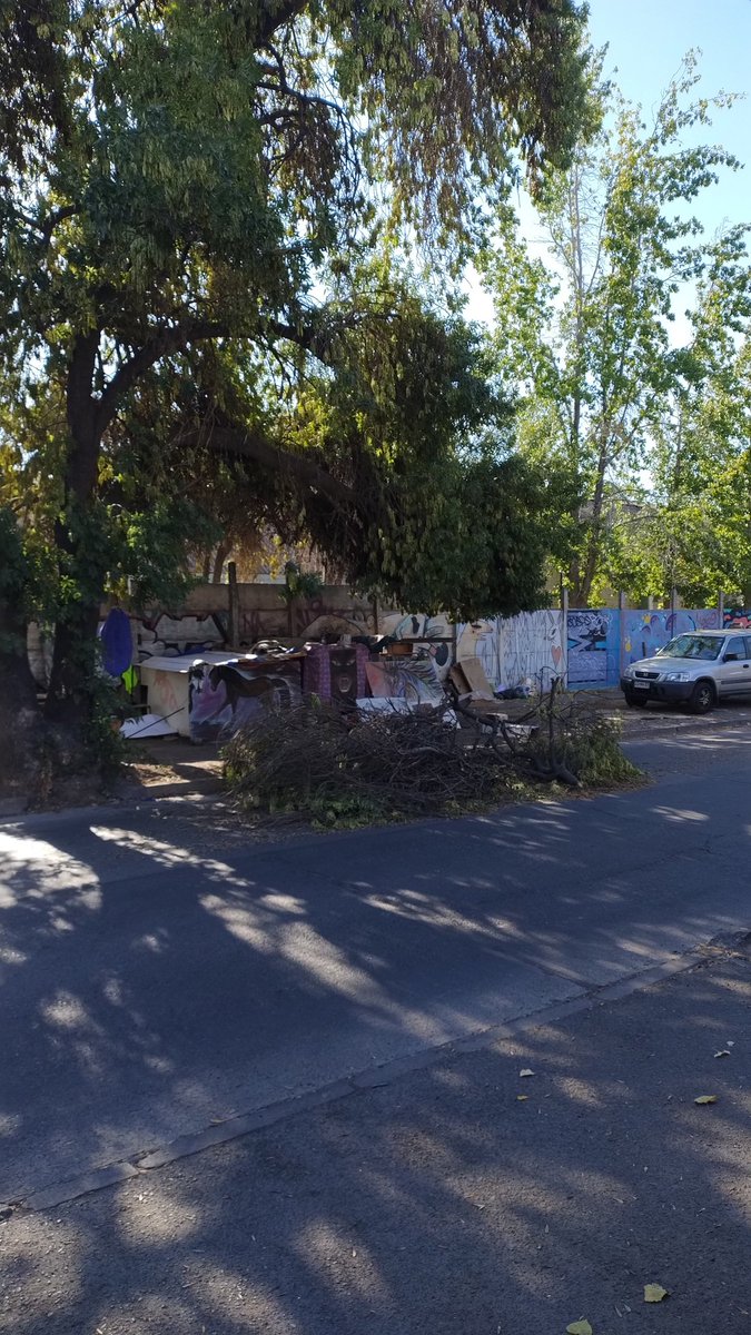 cristo_ac's tweet photo. @MuniMacul hay una ramas tapando una parte de la calle Tiltil a la altura del 2900, llevan casi todo el día ahí. https://t.co/PxcjIkNOjZ
