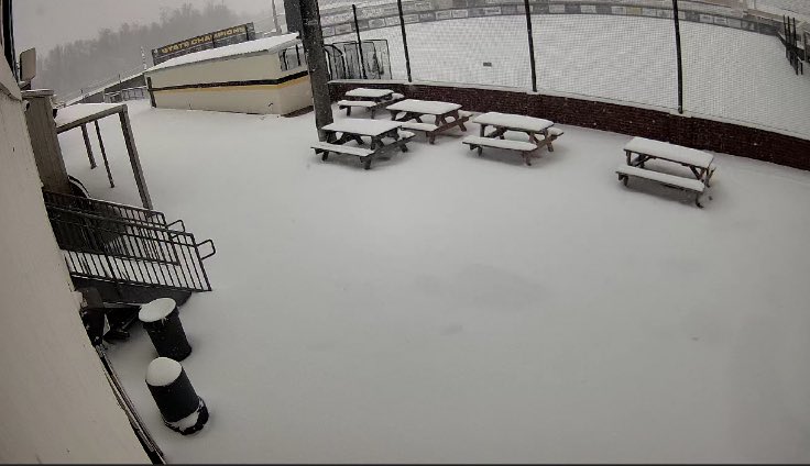 St. Amant Softball tweet media