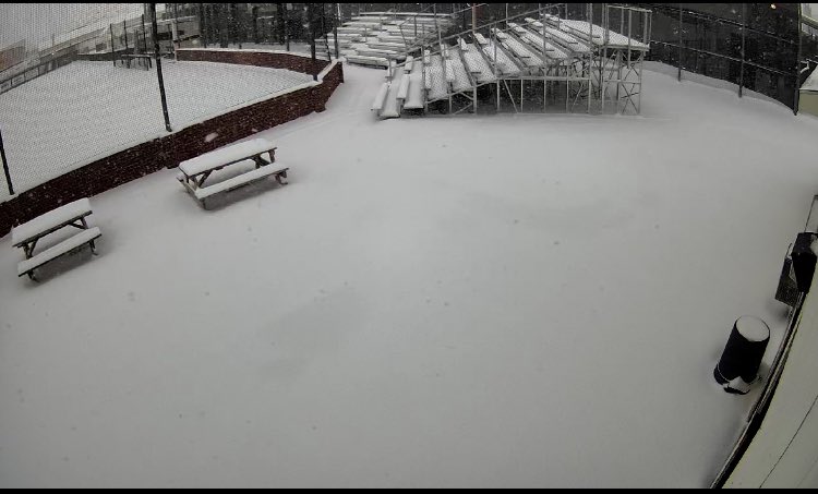 St. Amant Softball tweet media