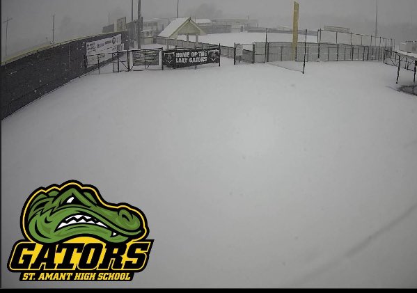 St. Amant Softball tweet media