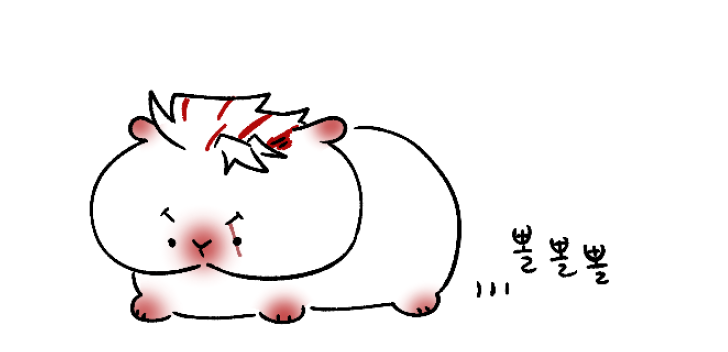 비단털도야지는 뽈뽈뽈 돌아댕깁니다.