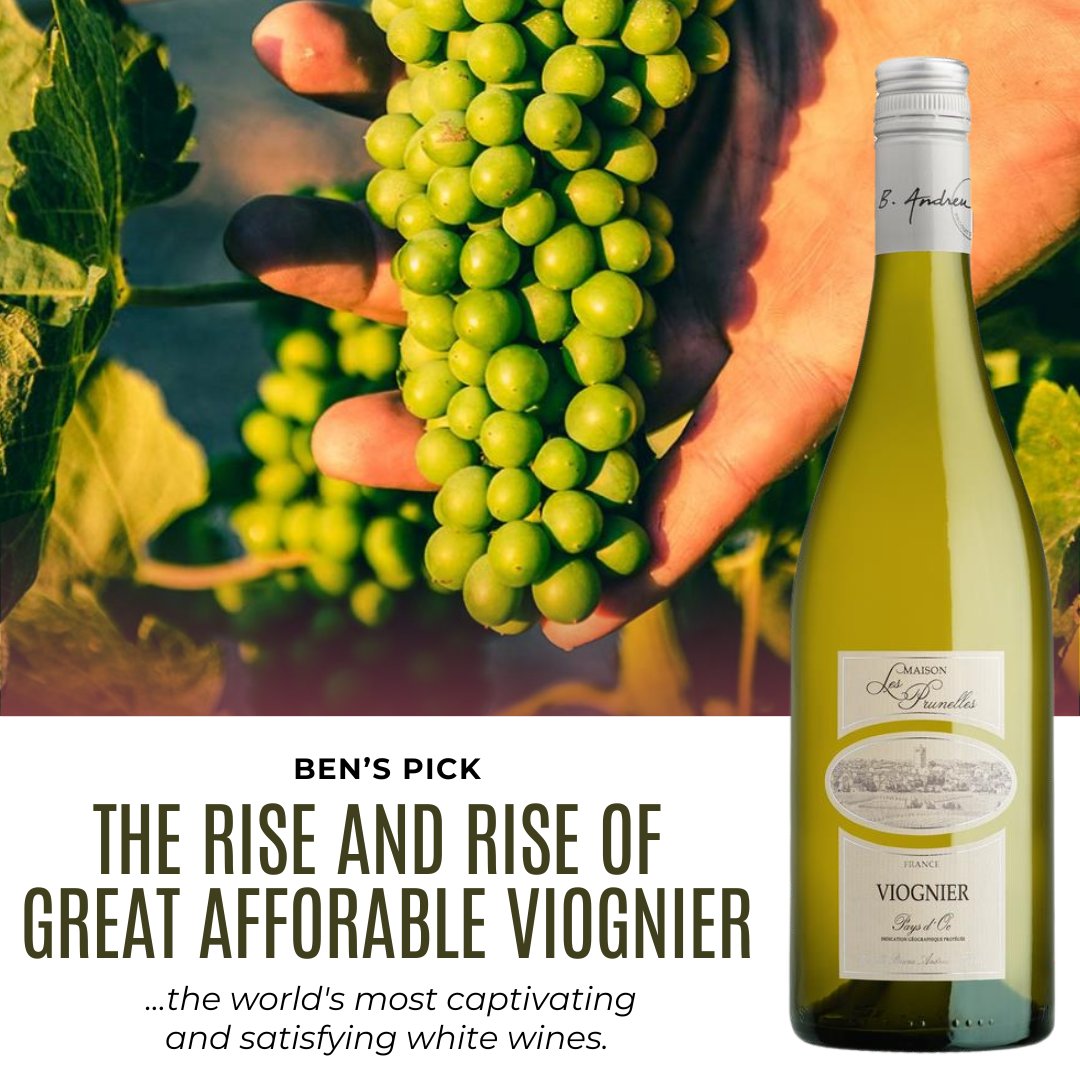 This week, learn about a wonderful Viognier. As Ben says, affordable enough to drink every day, and special enough to enjoy when company arrives. 🍈

Read the newsletter in full at calvertwoodley.com/bens-pick