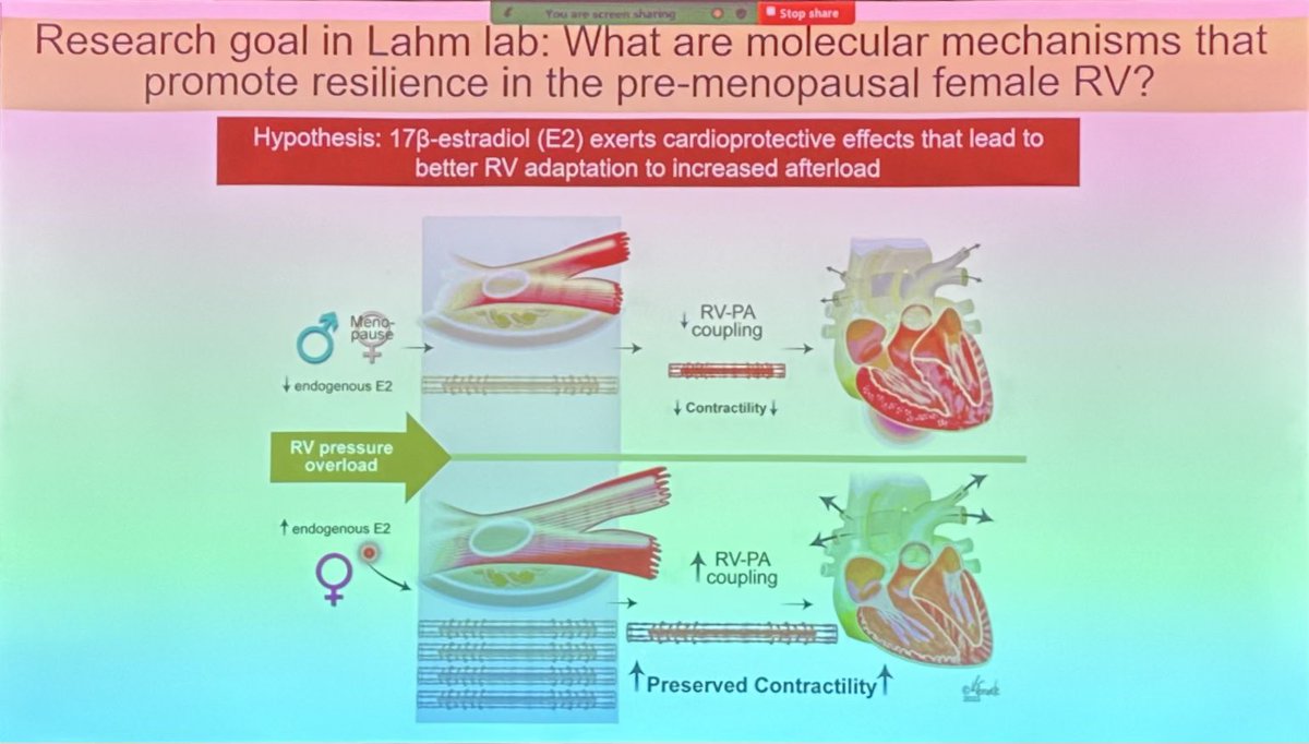 Paul Yu MD PhD (@bmprii) on Twitter photo Delighted to host Dr. Tim Lahm <a href="/TimLahm/">Tim Lahm</a> from NJH <a href="/NJHealthMedEd/">National Jewish Health Medical Education</a> to speak about “Novel Mechanisms and Mediators of Sex and Gender Differences in Right Heart Adaptation in Pulmonary Hypertension” for the <a href="/mghcvrc/">MGH Cardiovascular Research Center</a> <a href="/bwhcvls/">Brigham and Women’s Cardiovascular Life Science</a> <a href="/broadinstitute/">Broad Institute</a> CVDi invited seminar today. Delighted to host Dr. Tim Lahm <a href="/TimLahm/">Tim Lahm</a> from NJH <a href="/NJHealthMedEd/">National Jewish Health Medical Education</a> to speak about “Novel Mechanisms and Mediators of Sex and Gender Differences in Right Heart Adaptation in Pulmonary Hypertension” for the <a href="/mghcvrc/">MGH Cardiovascular Research Center</a> <a href="/bwhcvls/">Brigham and Women’s Cardiovascular Life Science</a> <a href="/broadinstitute/">Broad Institute</a> CVDi invited seminar today.