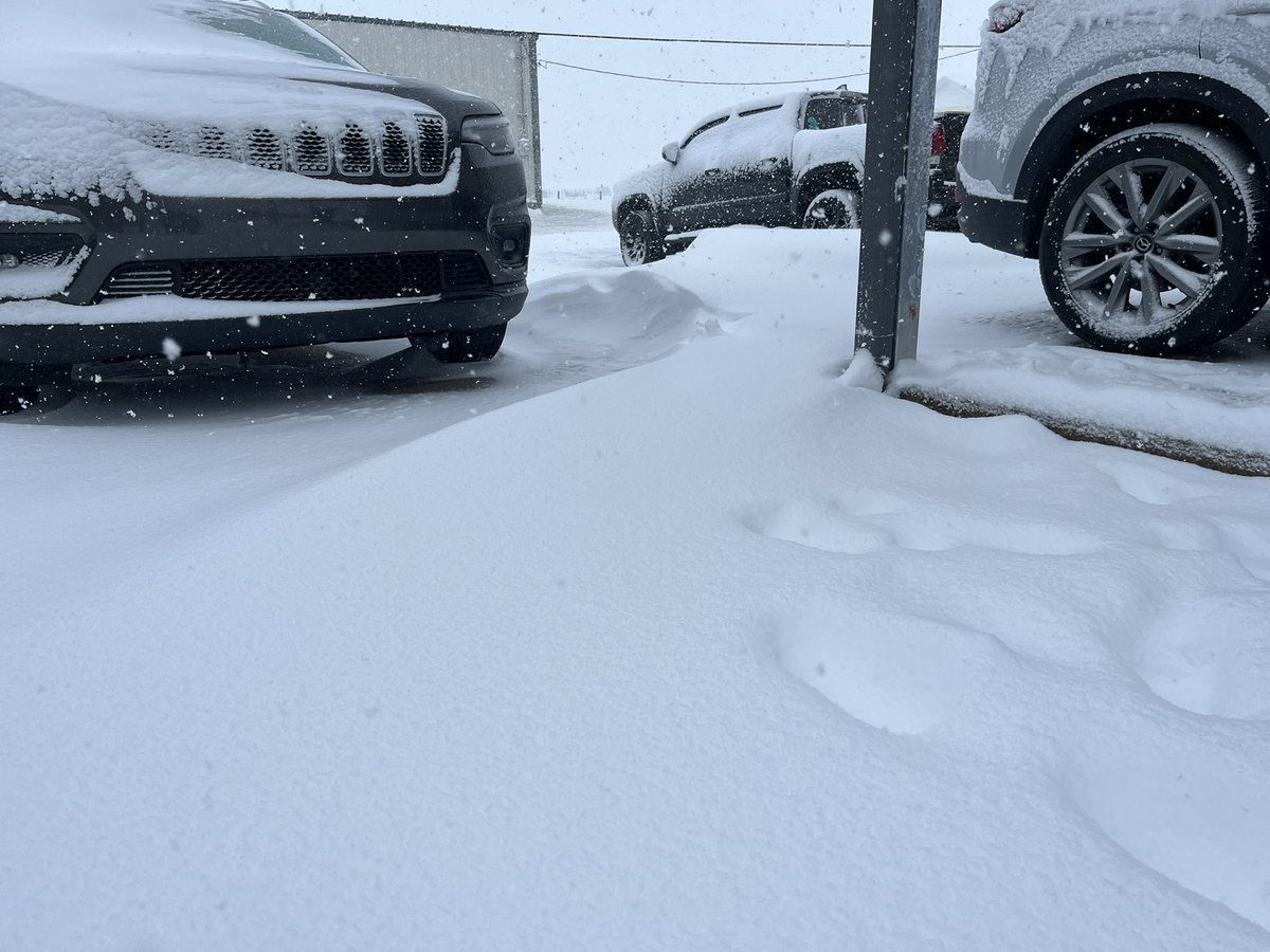 MasDogWx tweet media