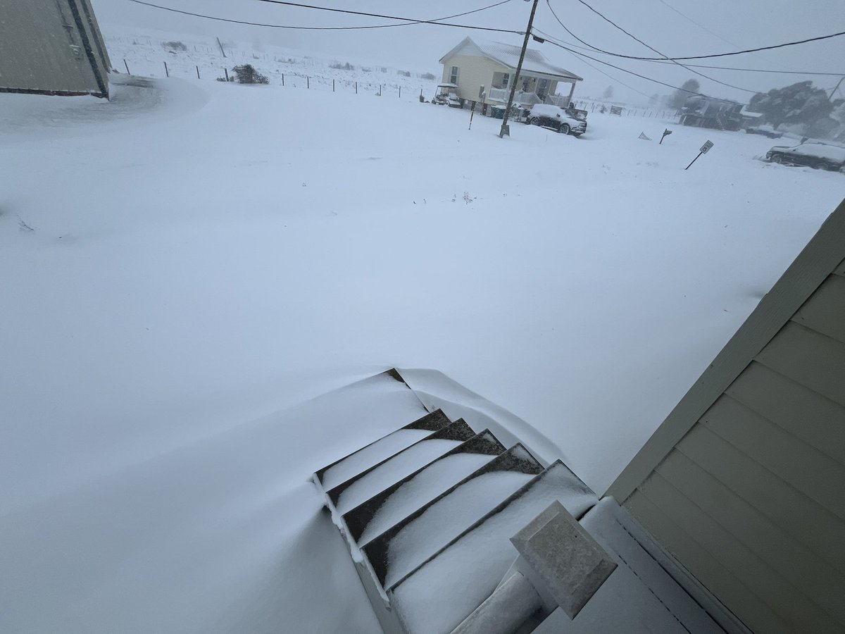 MasDogWx tweet media
