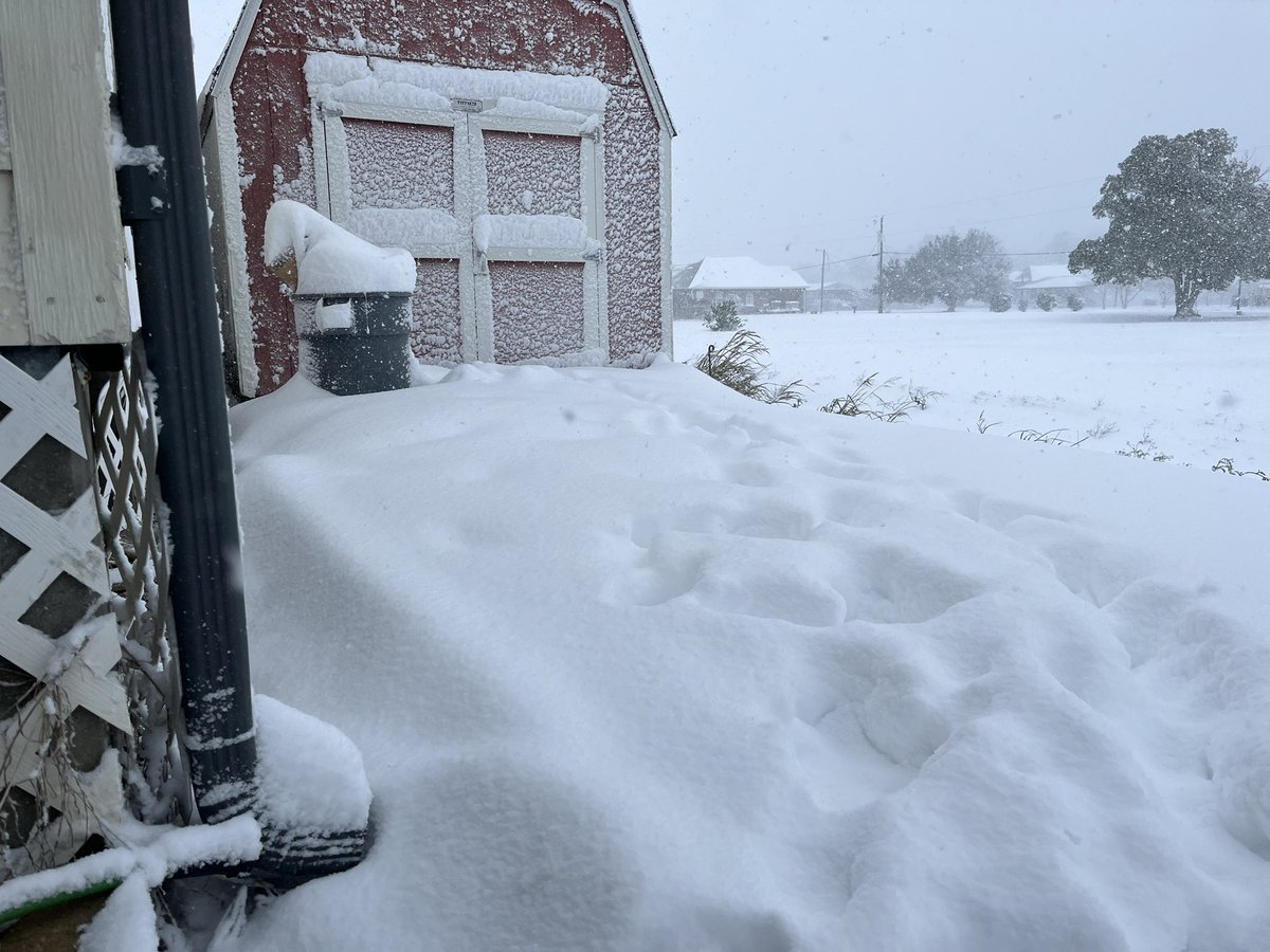 MasDogWx tweet media