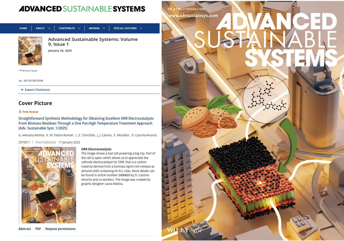 Do not miss our Cover Picture in Advanced Sustainable Systems:
"Straightforward Synthesis Methodology for Obtaining Excellent ORR Electrocatalysts From Biomass Residues… ", by Alemany-Molina, Pabón-Román, Chinchilla, Calvino, Morallón and Cazorla-Amorós. onlinelibrary.wiley.com/toc/23667486/2…