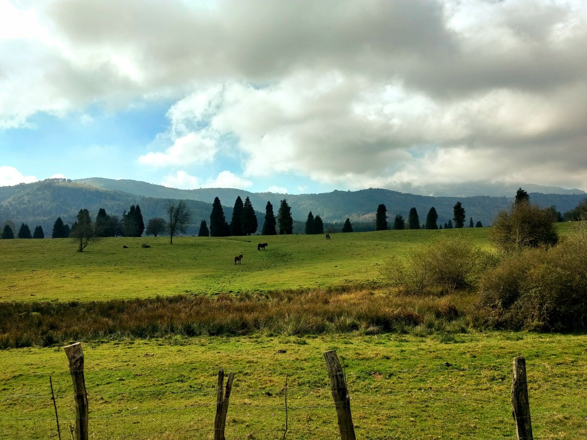 PatrimonioAlava's tweet image. #Gorbeia. El #ParqueNatural alberga 27 tipos de #hábitats de interés comunitario y 15 especies amenazadas. Forma parte de la #RedNatura2000, es Zona de Especial Conservación (#ZEC). #Álava
Foto: @oscarkorres