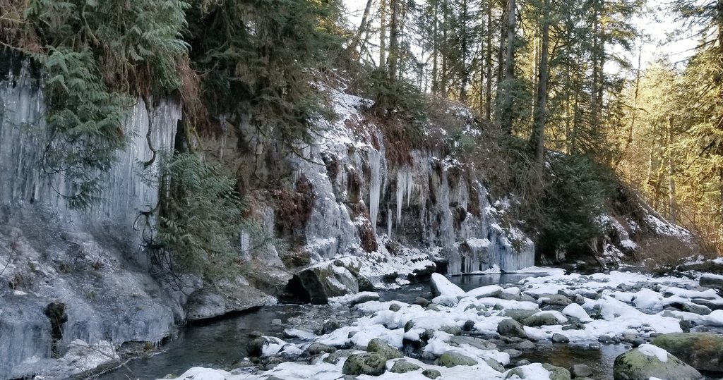 Linda (@lindapeters64) on Twitter photo Baby, it's cold outside! ๐ฅถ
Celebrate winter's beauty.
Photos:
โ๏ธ ice flowers
โ๏ธ hair ice
โ๏ธ ice trees
โ๏ธ ice along the river
Share your #Top4Ice ๐ธ
Tag #Top4Theme hosts <a href="/obligatraveler/">obligatory traveler</a> <a href="/intheolivegrov1/">intheolivegroves</a>
<a href="/pipeaway_travel/">Pipeaway</a> Baby, it's cold outside! ๐ฅถ
Celebrate winter's beauty.
Photos:
โ๏ธ ice flowers
โ๏ธ hair ice
โ๏ธ ice trees
โ๏ธ ice along the river
Share your #Top4Ice ๐ธ
Tag #Top4Theme hosts <a href="/obligatraveler/">obligatory traveler</a> <a href="/intheolivegrov1/">intheolivegroves</a>
<a href="/pipeaway_travel/">Pipeaway</a>