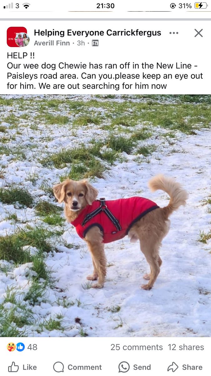 Did you have him on a lead? Did you shut your gate? Can you be sure he’s not going to worry some sheep, sh1t on the footpath or someone’s garden, or cause an accident running into the road?