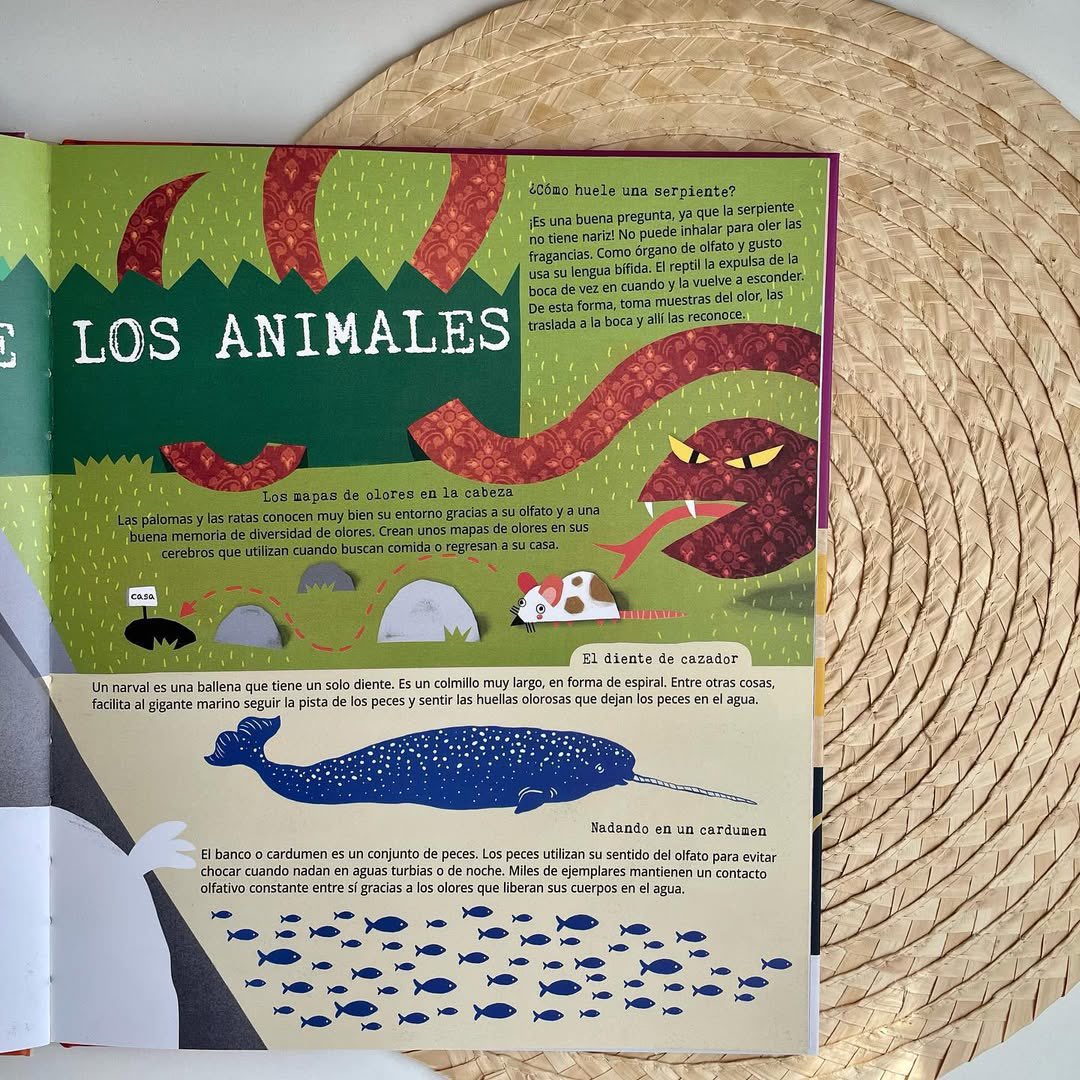 LatadeSalEd's tweet photo. ¡Descubre los cinco sentidos!
Aprende cómo funciona tu cuerpo con datos curiosos y experimentos divertidos. 🎉📖 Los cinco sentidos: un libro para jugar y aprender. 🌟
https://t.co/P4YvrE96Co 

#aprenderjugando #librosparaniños #latadesal https://t.co/NBmCWxSoco