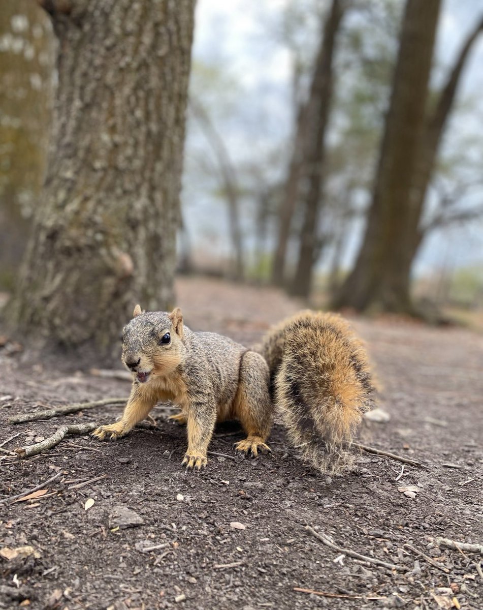 Eva Perales tweet media