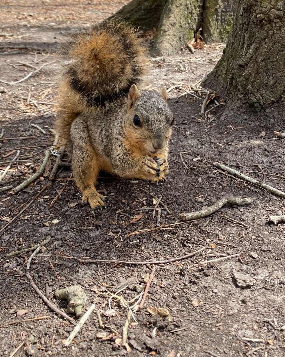 Eva Perales tweet media
