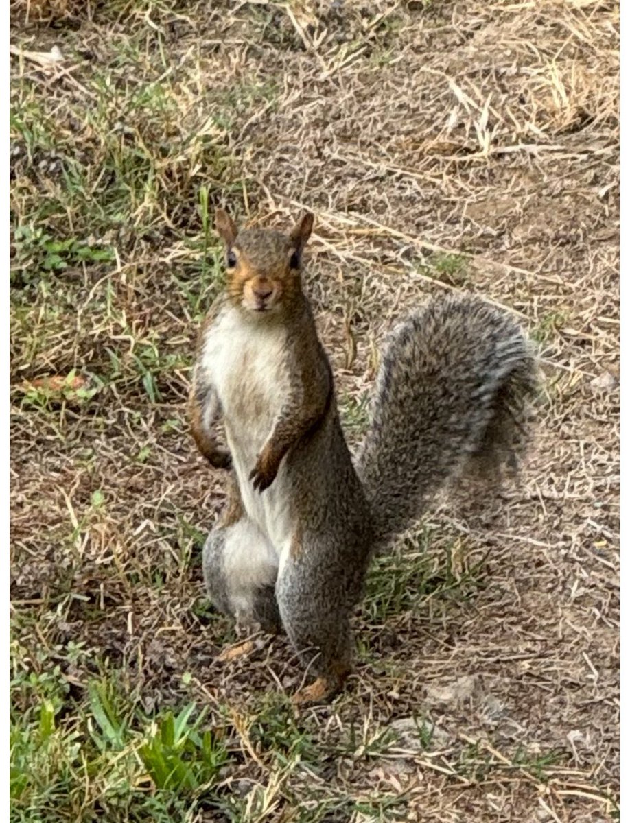 Eva Perales tweet media