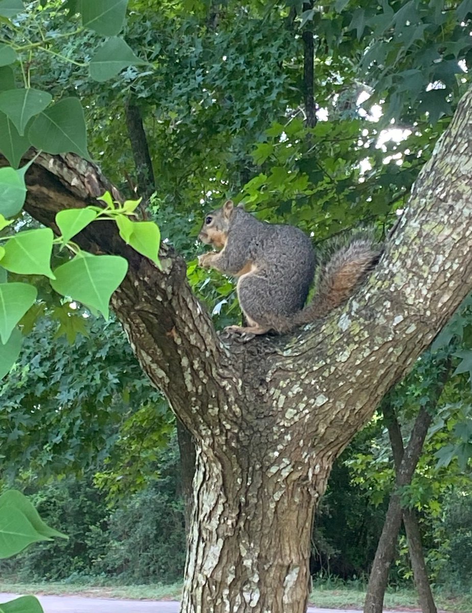 Eva Perales tweet media
