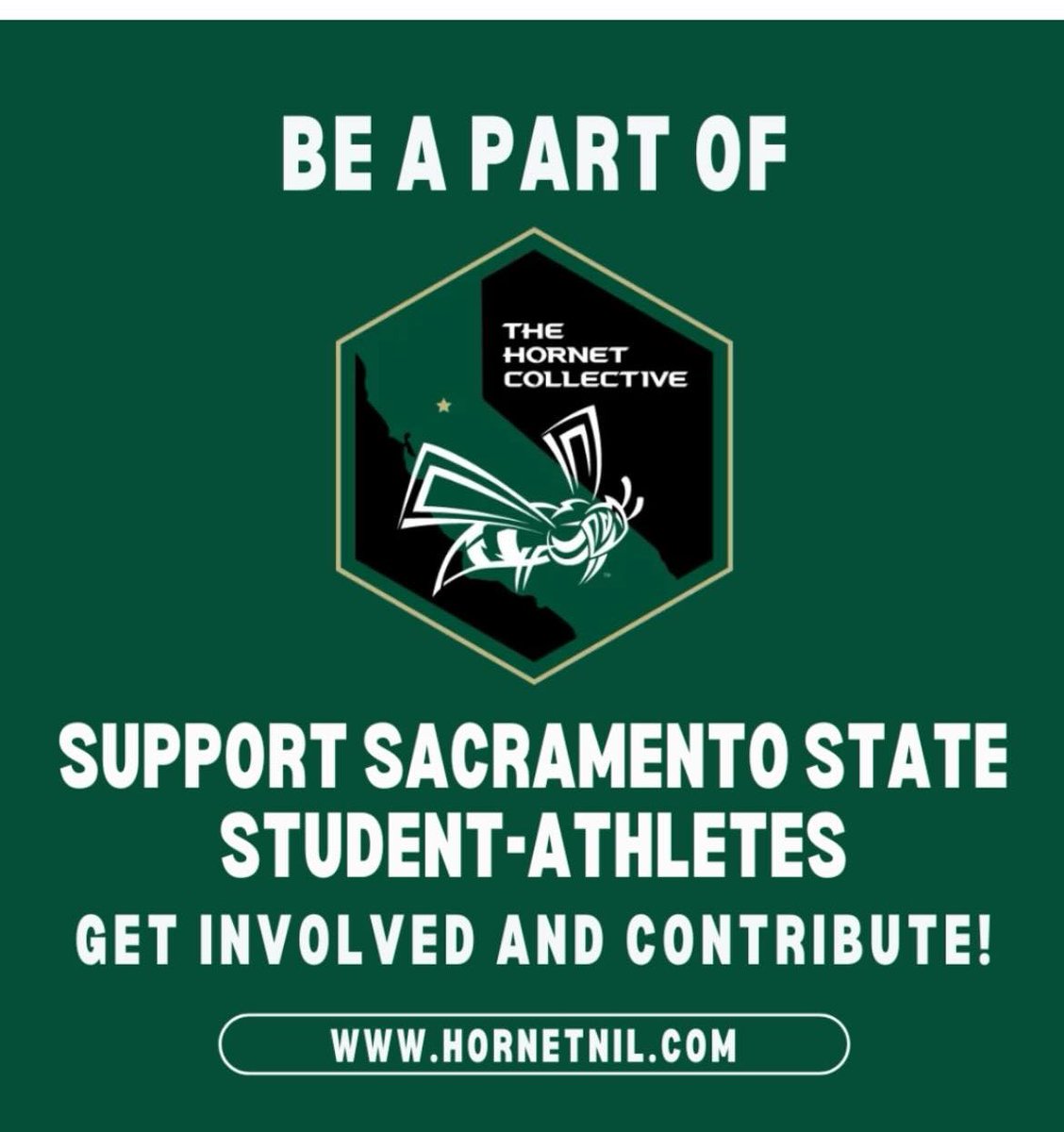 RodneyLHammond1's tweet photo. @SacHornetsFB @hornetnil https://t.co/yyaj4fy0sQ