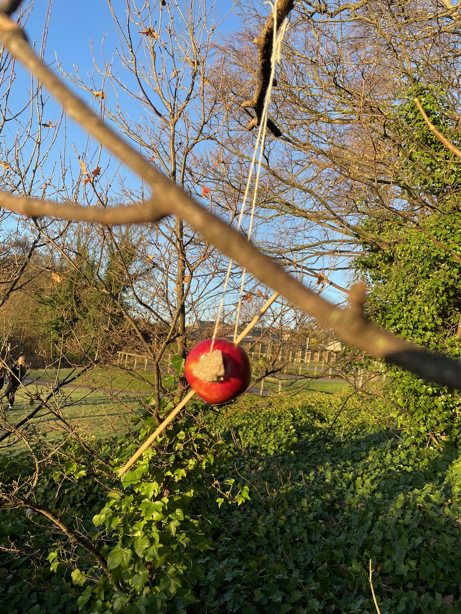 Lizzy Toon tweet media