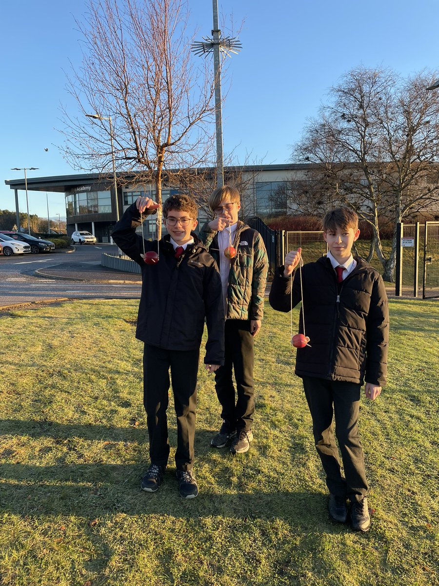 Lizzy Toon tweet media