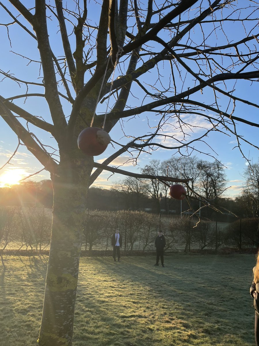 Lizzy Toon tweet media