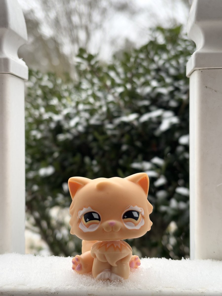 sugarbnnyz's tweet photo. my baby's first snow :3 #lpstwt https://t.co/eEAk5UMKHD