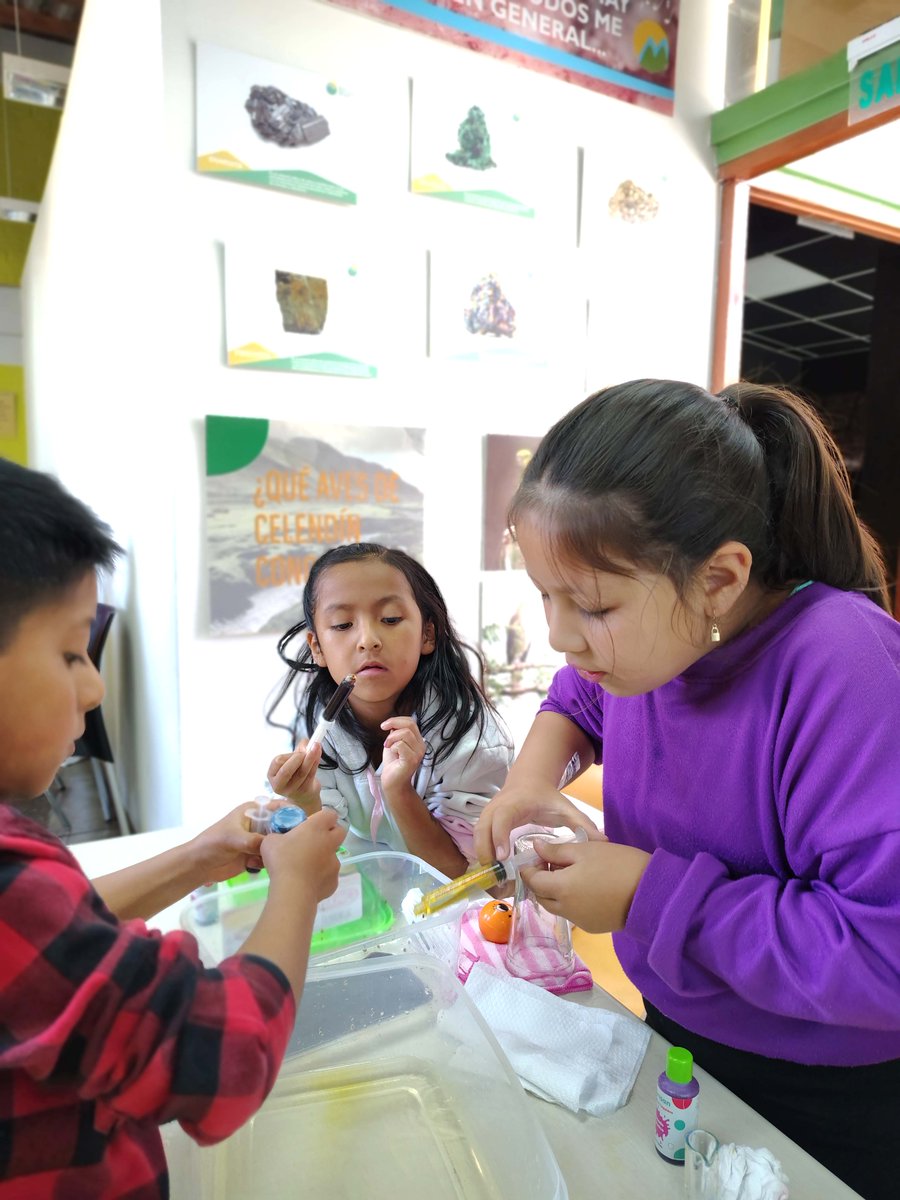 RedEAmérica tweet media