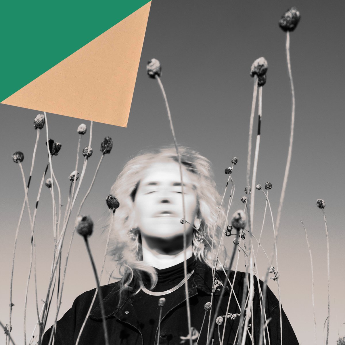 Boiled Records tweet media