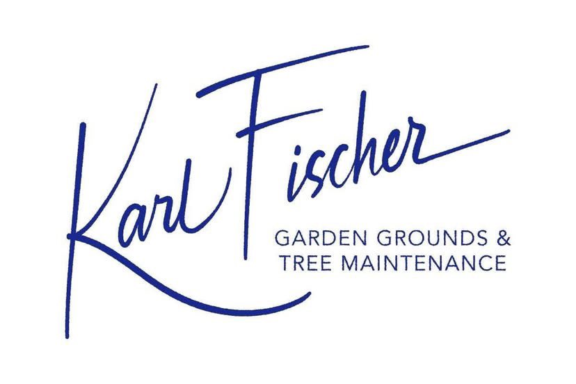 Karl Fischer tweet media