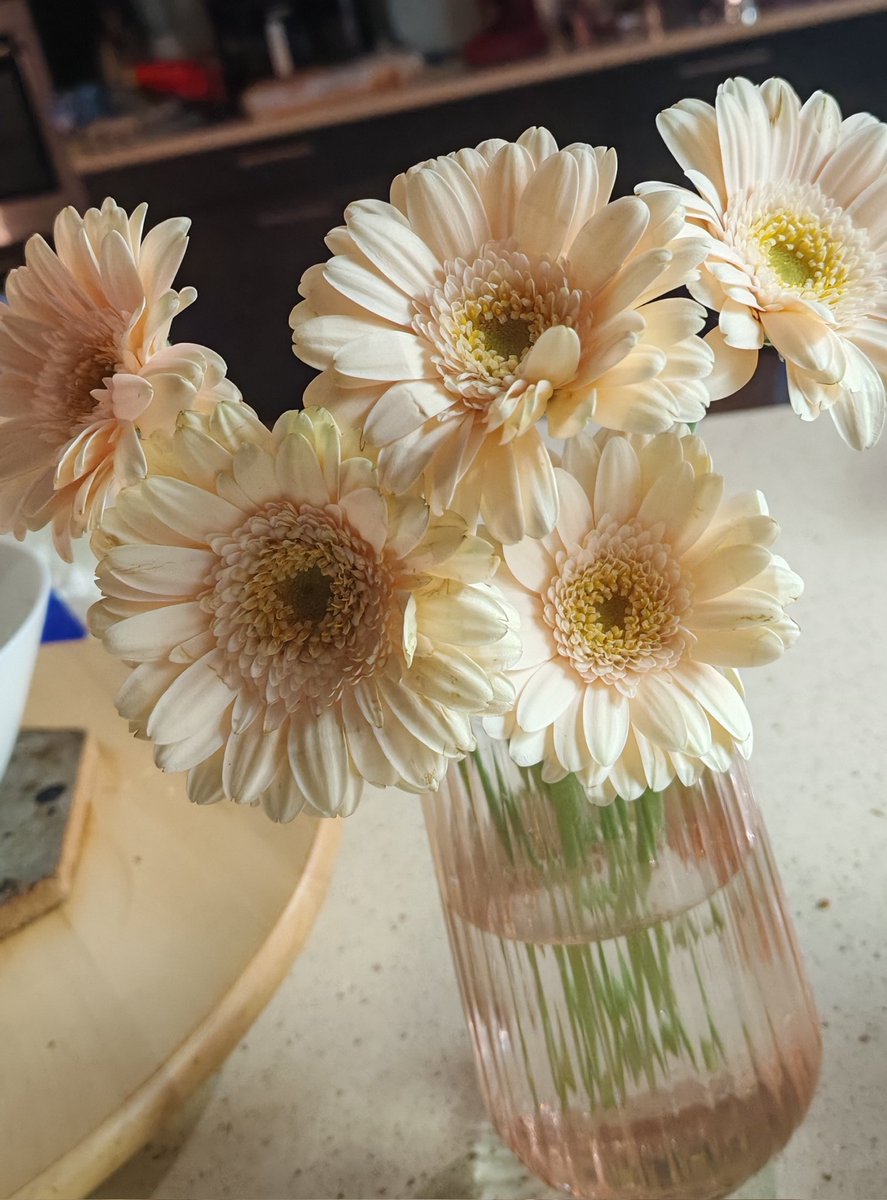 I had a bad day yesterday at work so my bf got me flowers today :( ❤️‍🩹
They're so tinyyy