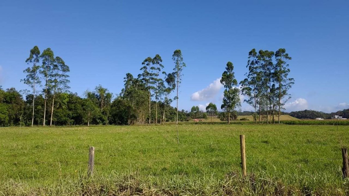 A terça-feira (21) segue com tempo firme neste entardecer na região de Brusque. Fez calor de 33°C com térmica de 38°C no bairro Dom Joaquim. No momento 18:45 estamos com 31°C por aqui.