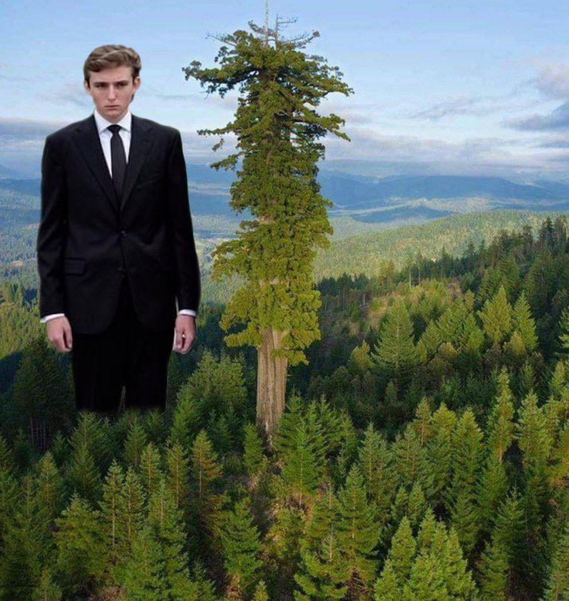 Barron For Scale