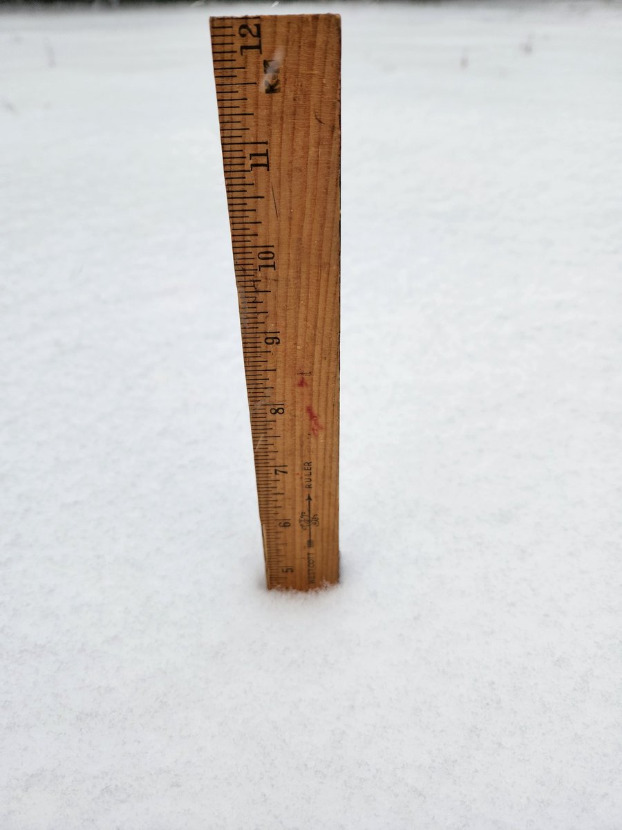 sambucake's tweet photo. @NWSMobile @FLStormChasers_ @ryanhallyall Pensacola, FL. 3:30 PM. getting close to 5 inches 😳 https://t.co/IDgKE5XoYo