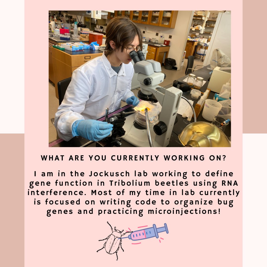 RaMP @ UConn tweet media