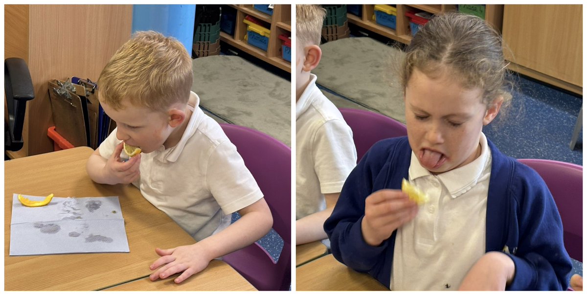We had lots of fun this afternoon using our 5 senses! We tasted different fruits and vegetables and decided if they were sweet or sour! We used our sense of touch to describe how the different foods felt. We had a great time! <a href="/DeltaMacaulay/">Macaulay Primary</a> #dtmacaulay