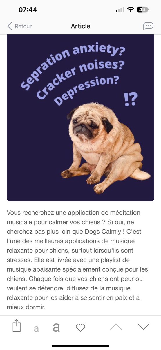 2025, année de la grande cause pour la santé mentale 😍😎!