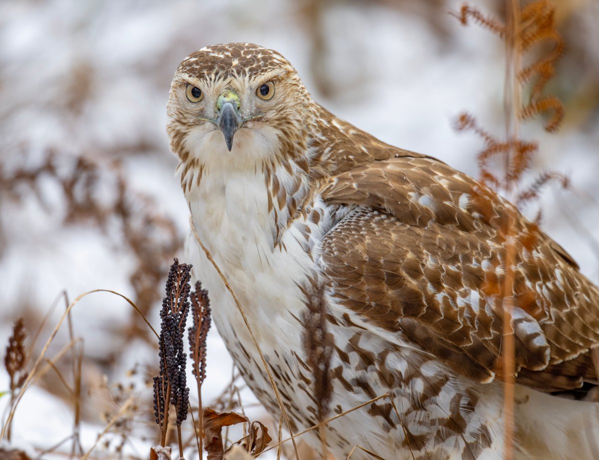 Jocelyn Anderson Photography tweet media