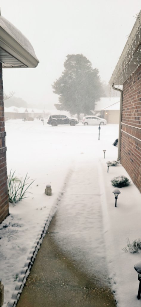 Am I in Florida? Yes! I am. ☃️❄️😆