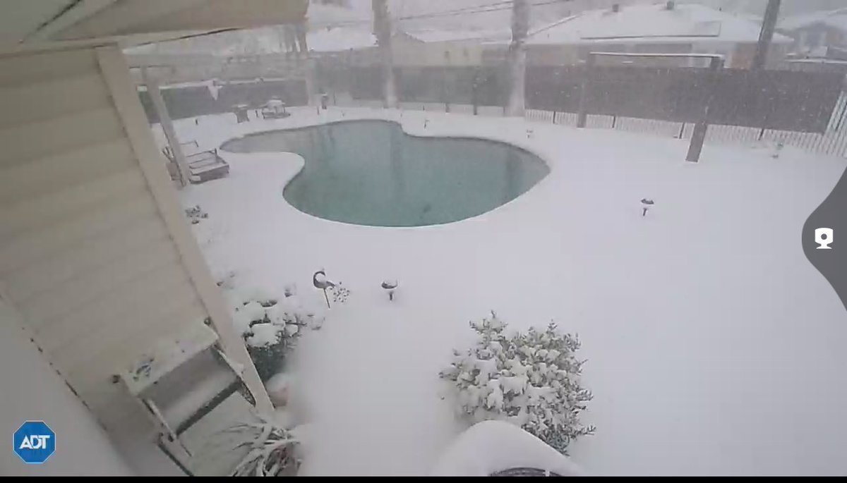 Did you all know that New Orleans is a place where it normally doesn’t snow during the winter months? Well, that changed today! ❄️😂