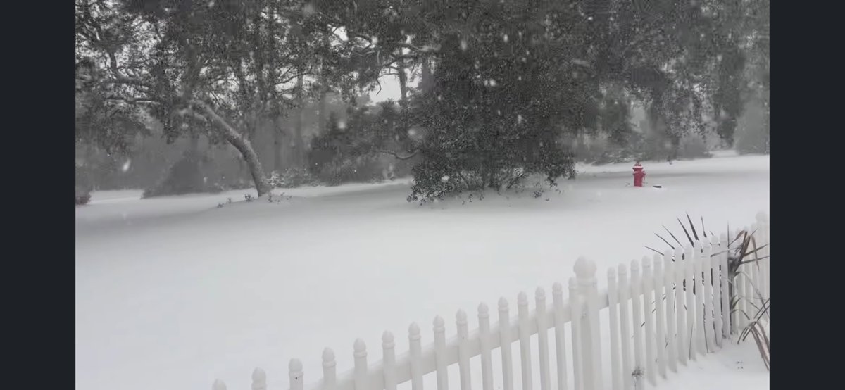 ALBeachCondos's tweet photo. @spann From our place in Gulf Shores on Fort Morgan Hwy. https://t.co/IpKe7YuFgp