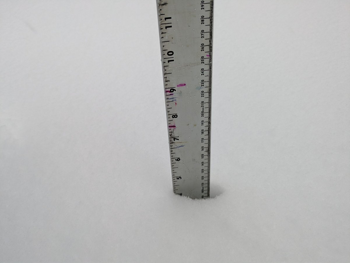 Basically 4" out at the road and maybe 4-6 hours of more snow to go.  Gotta love FL!