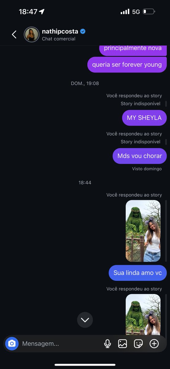 i2gabrams's tweet photo. Mds acabei de ver q a nathalia viu meu chat com ela, sos é cada bomba 
@nathipcosta_ me responde miga https://t.co/zK4rYgwWTi