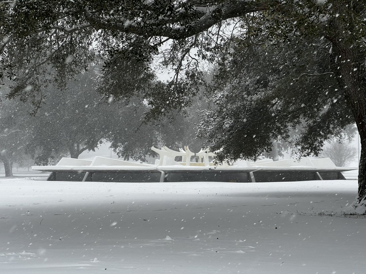 mrgrita64's tweet photo. Still snowing in NOLA Lake Terrace https://t.co/2Q2HaCdEzL