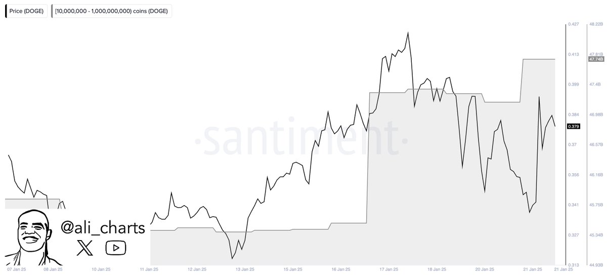 alicharts's tweet photo. Whales bought another 590 million #Dogecoin $DOGE in the last 24 hours, as shown by data from @santimentfeed! https://t.co/HlT3A79m2S
