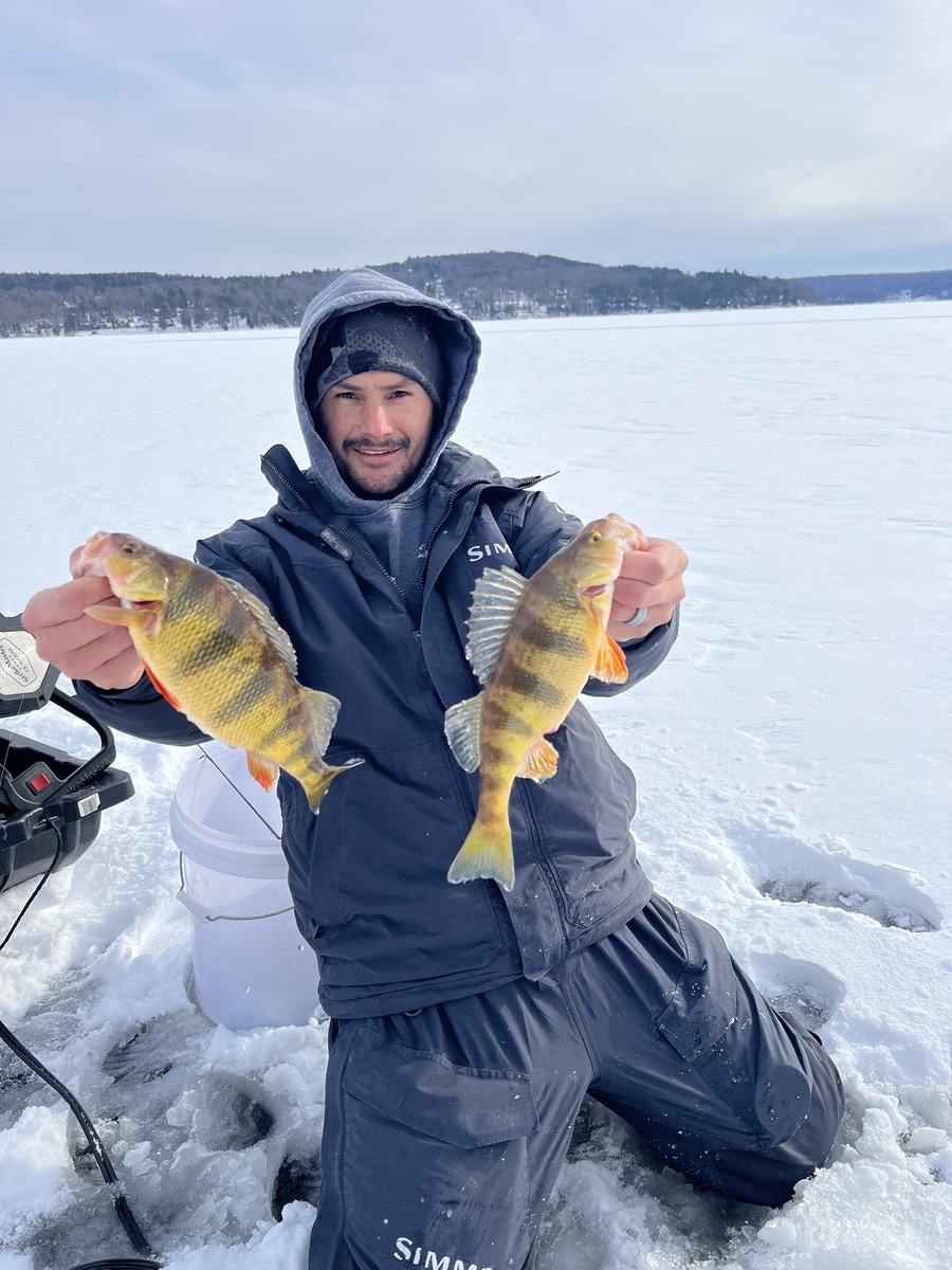WallyBites's tweet photo. Working on finding them today, this guy knows how to find them.  Here, hold my rod while I check that flag.  I come back to this.  Haha.  #perch #icefishing https://t.co/mdU56LAmmA